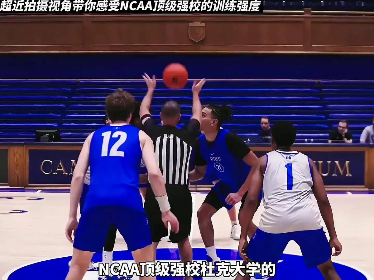 篮球一周训练计划方案表格_1